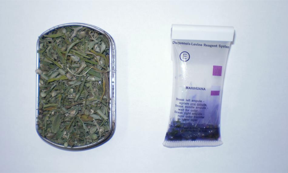 2011-1-27-1516sudafed (14).JPG